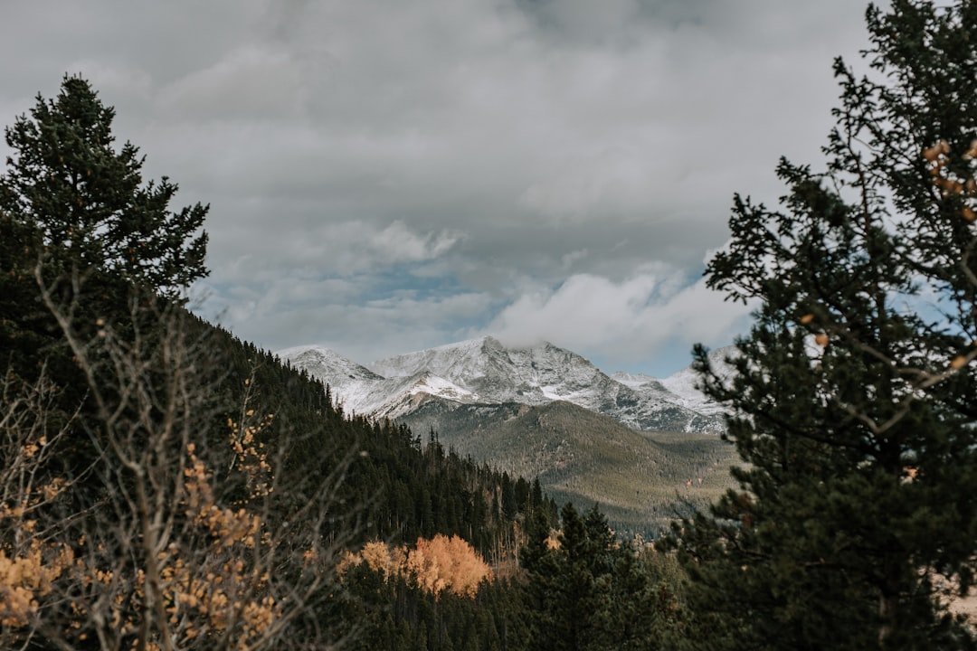 #11 &ndash; Rocky Mountain National Park: Timed Entry Is Still a Thing (Image Credits: Unsplash)