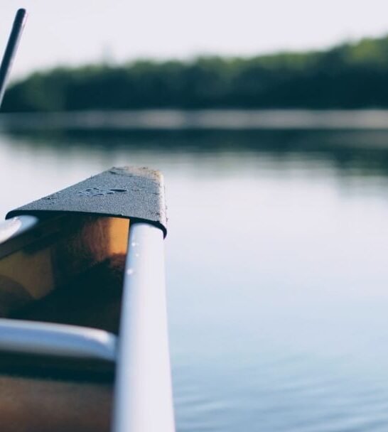 22 American Vacations Ranked by How Stressful They Are to Plan Now