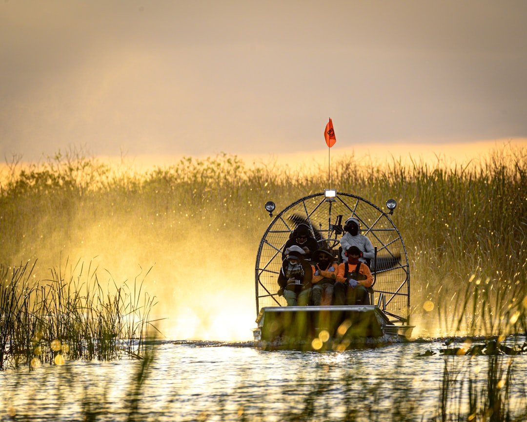 #13 - Everglades National Park: The Flat Park That Somehow Destroys You (Image Credits: Unsplash)