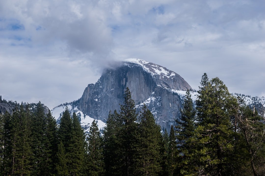 #1 - Yosemite National Park: World-Famous, World-Class Exhausting (Image Credits: Unsplash)