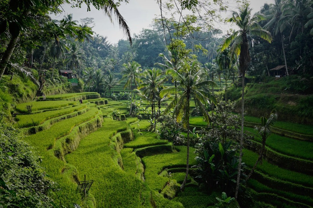 #9 - Bali, Indonesia: Instagram Built a Theme Park Out of a Real Place (Image Credits: Unsplash)