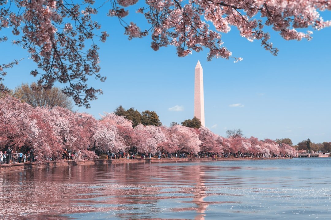 #10 - Washington, D.C.: Free Museums, Priceless Frustration (Image Credits: Unsplash)